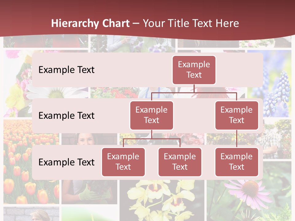 Garden Dasy Person PowerPoint Template