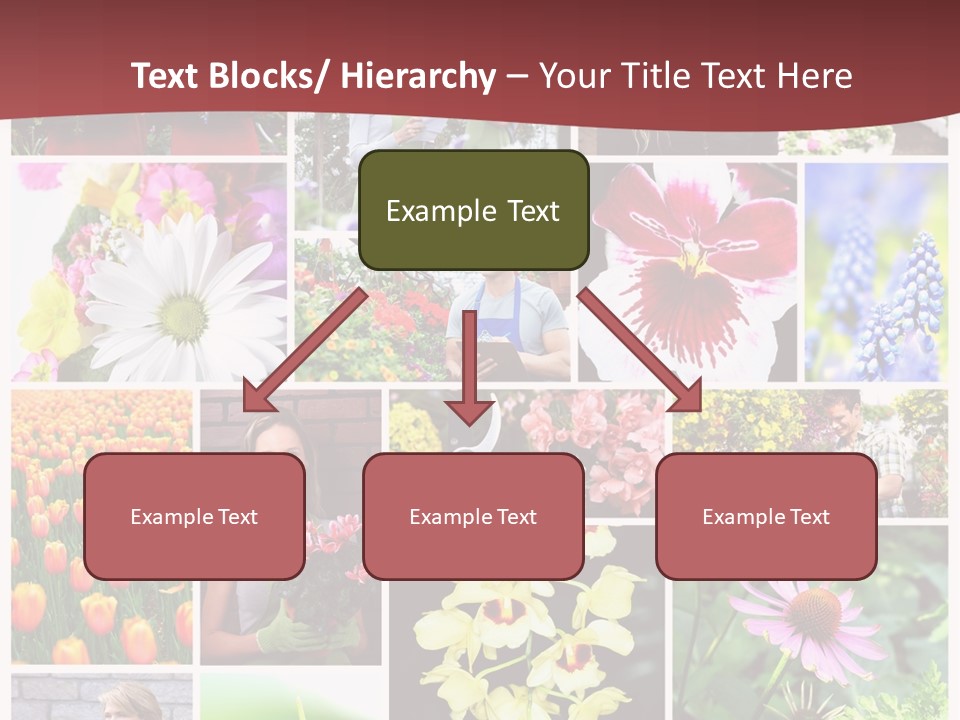 Garden Dasy Person PowerPoint Template
