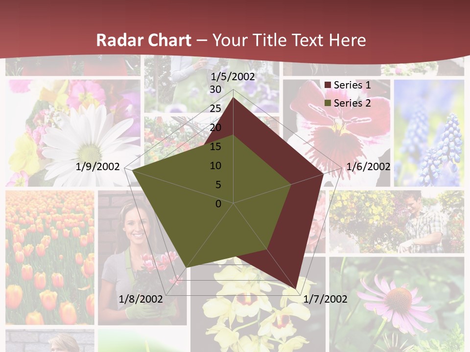 Garden Dasy Person PowerPoint Template