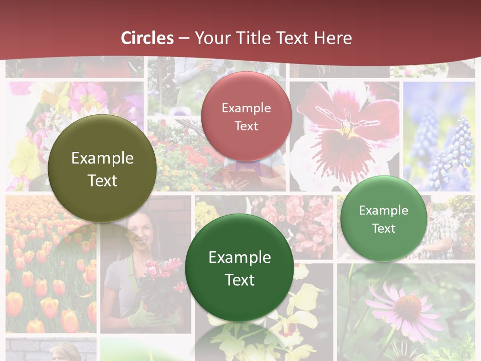 Garden Dasy Person PowerPoint Template