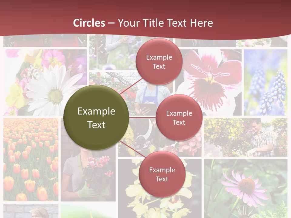 Garden Dasy Person PowerPoint Template