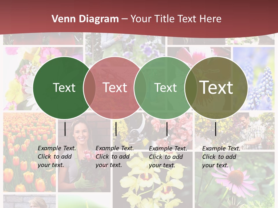 Garden Dasy Person PowerPoint Template