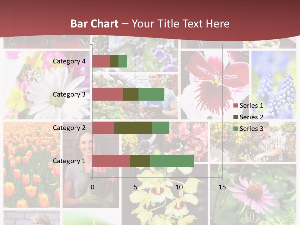Garden Dasy Person PowerPoint Template