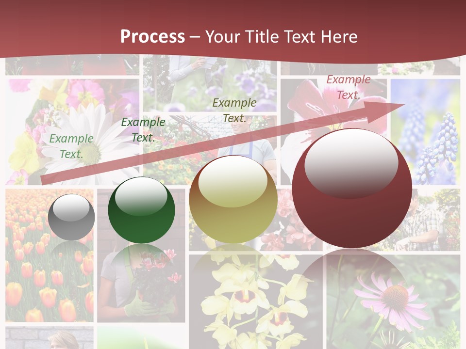 Garden Dasy Person PowerPoint Template