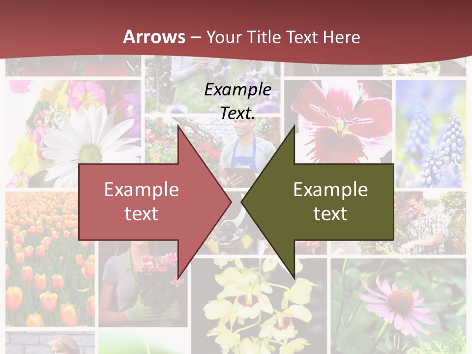 Garden Dasy Person PowerPoint Template