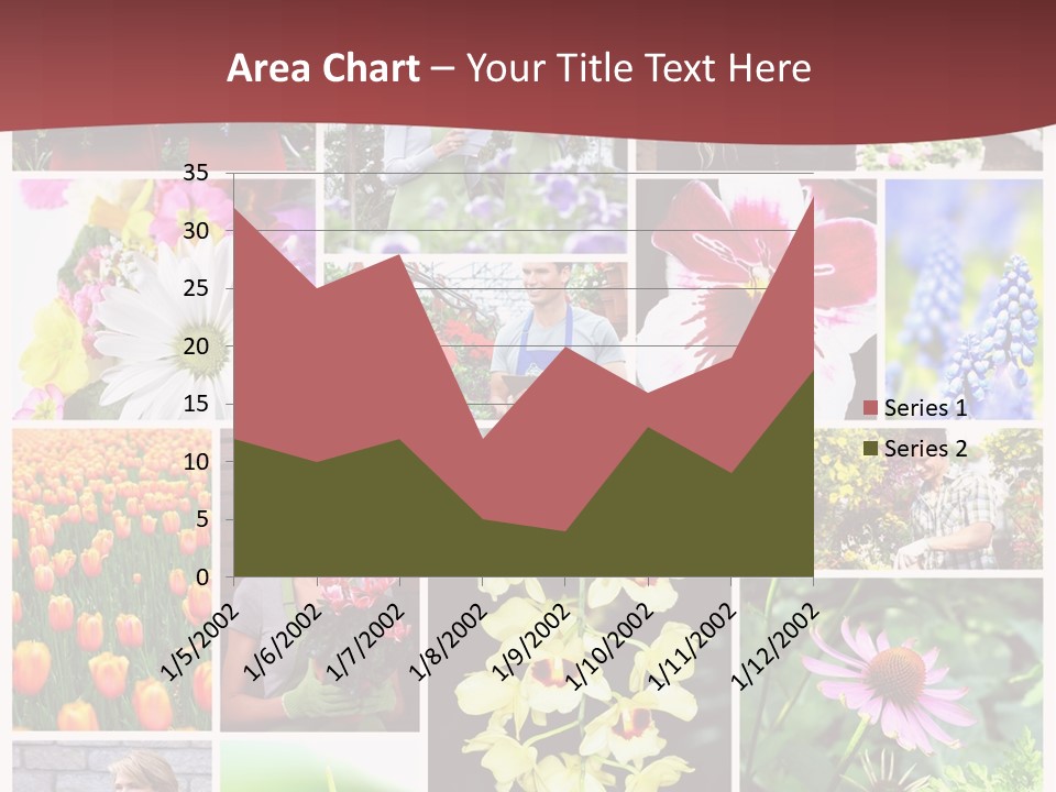 Garden Dasy Person PowerPoint Template