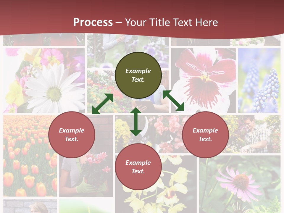 Garden Dasy Person PowerPoint Template