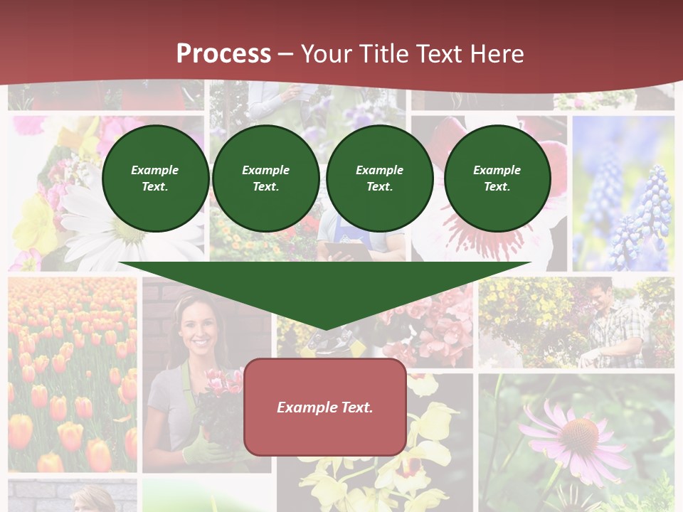 Garden Dasy Person PowerPoint Template