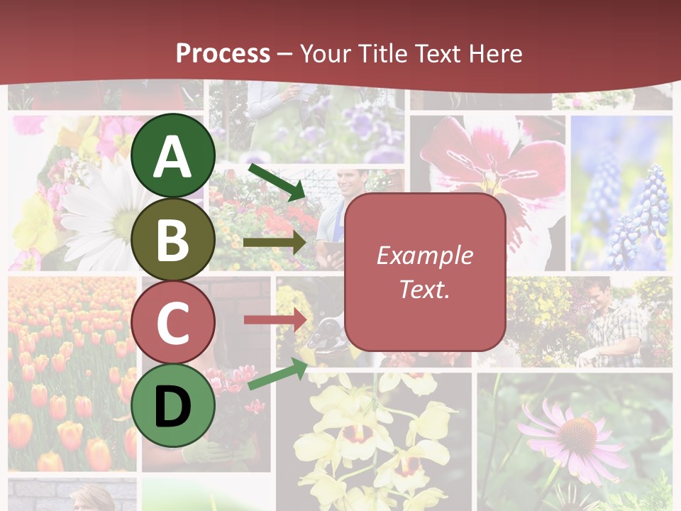 Garden Dasy Person PowerPoint Template