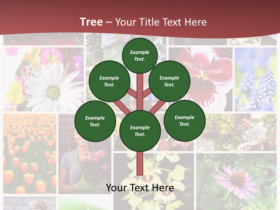 Garden Dasy Person PowerPoint Template