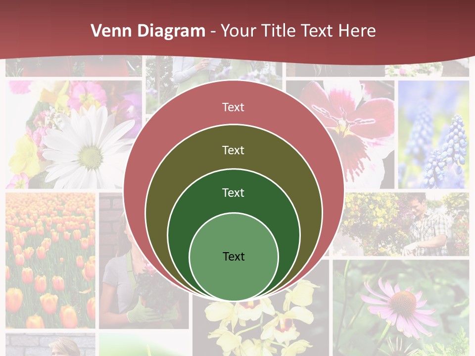 Garden Dasy Person PowerPoint Template