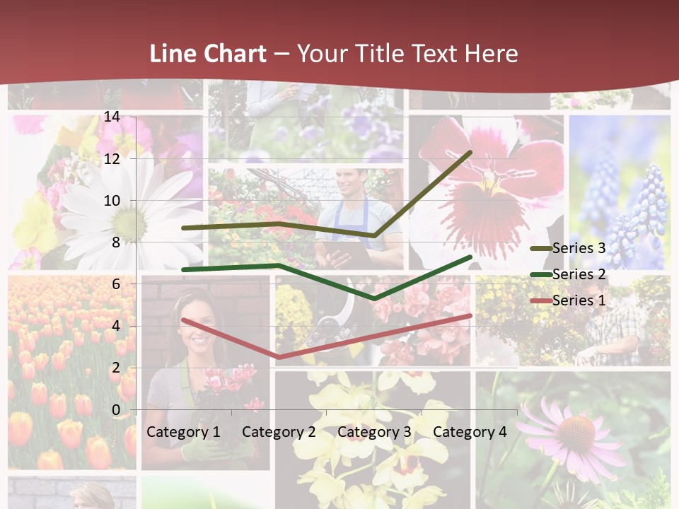 Garden Dasy Person PowerPoint Template