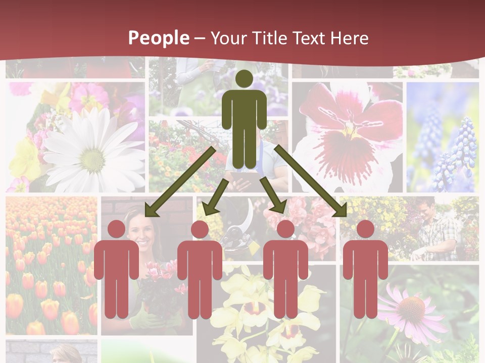 Garden Dasy Person PowerPoint Template