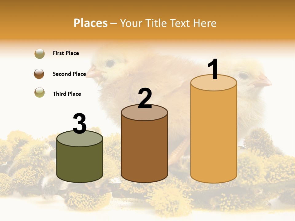 Background Chicken Orange PowerPoint Template