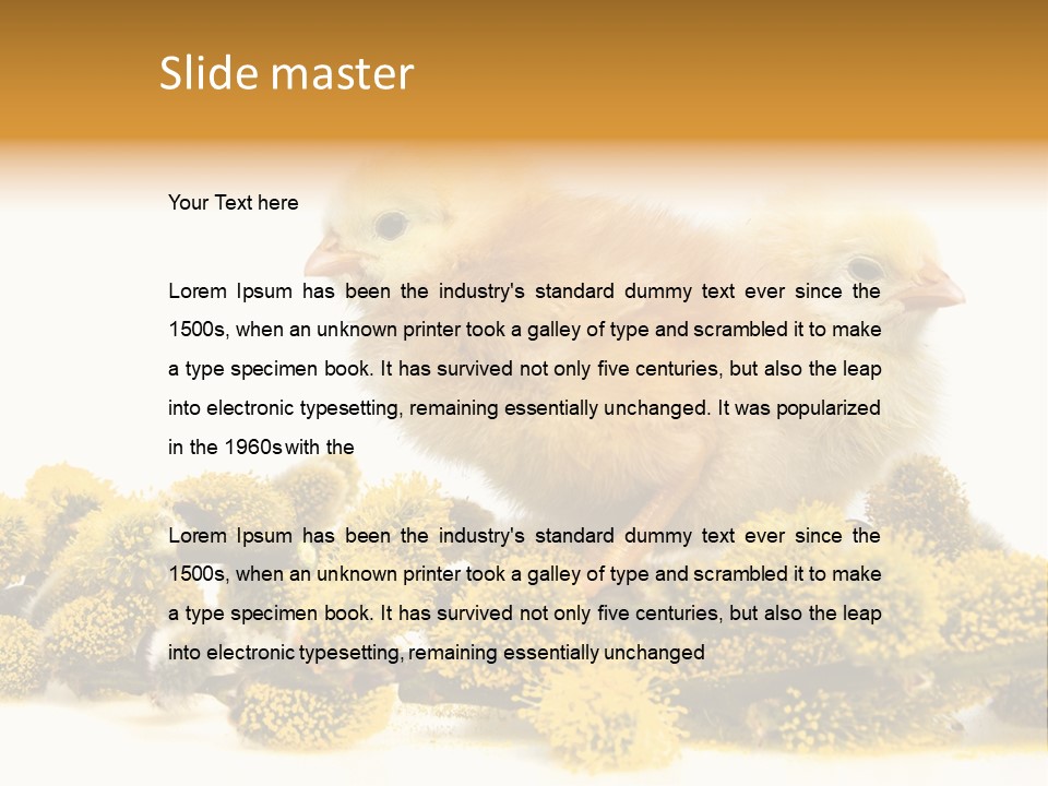Background Chicken Orange PowerPoint Template