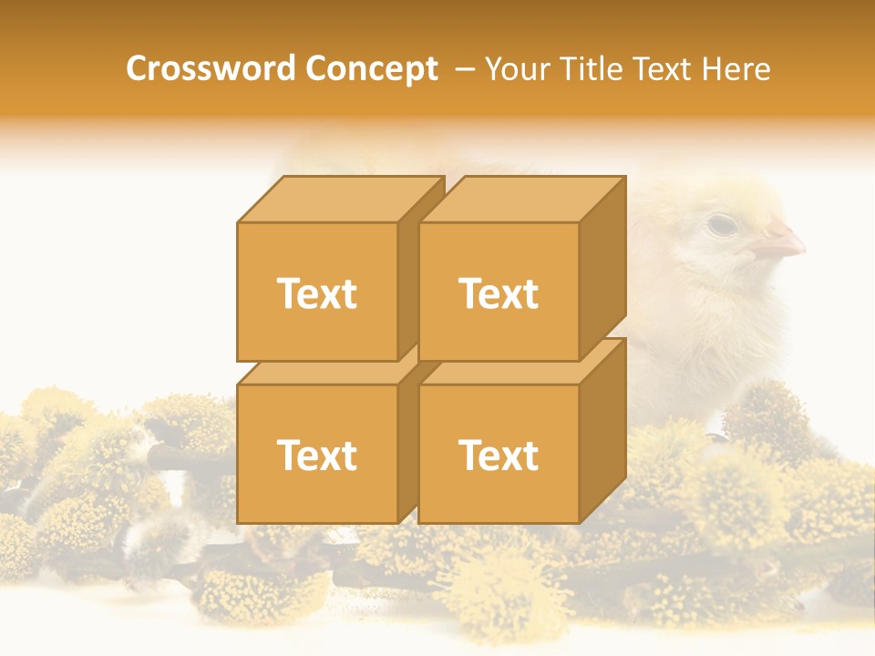 Background Chicken Orange PowerPoint Template