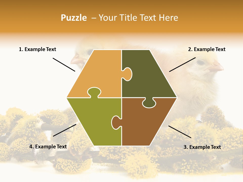 Background Chicken Orange PowerPoint Template