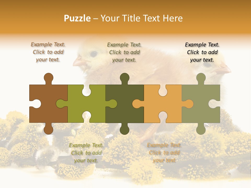 Background Chicken Orange PowerPoint Template