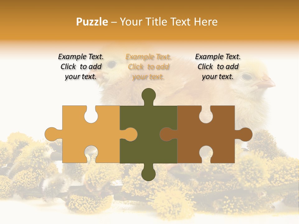 Background Chicken Orange PowerPoint Template