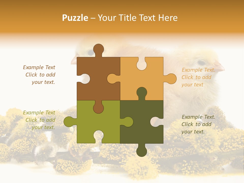 Background Chicken Orange PowerPoint Template