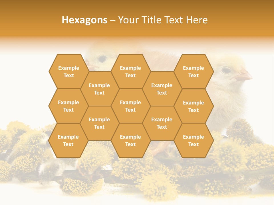 Background Chicken Orange PowerPoint Template