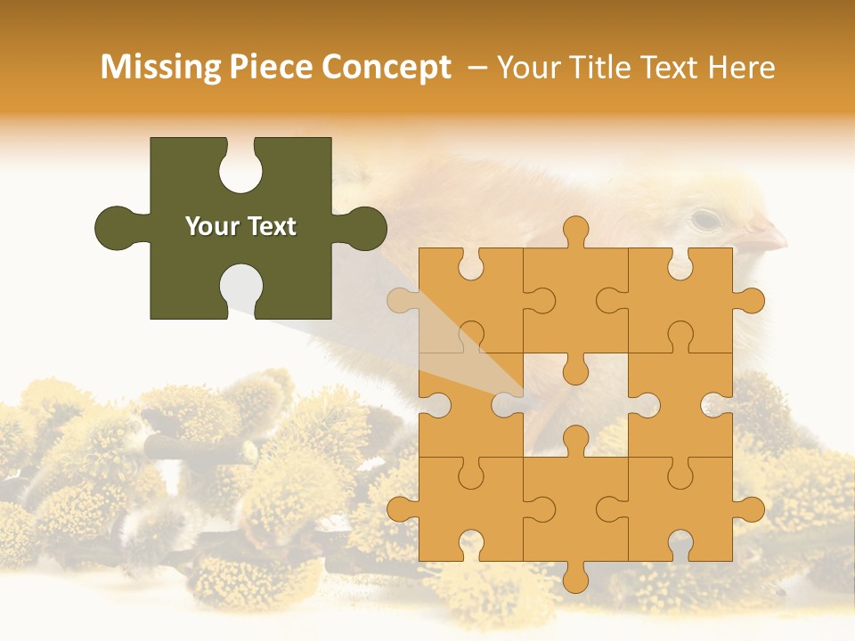 Background Chicken Orange PowerPoint Template