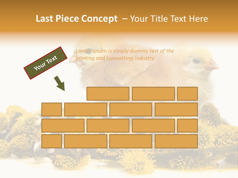 Background Chicken Orange PowerPoint Template