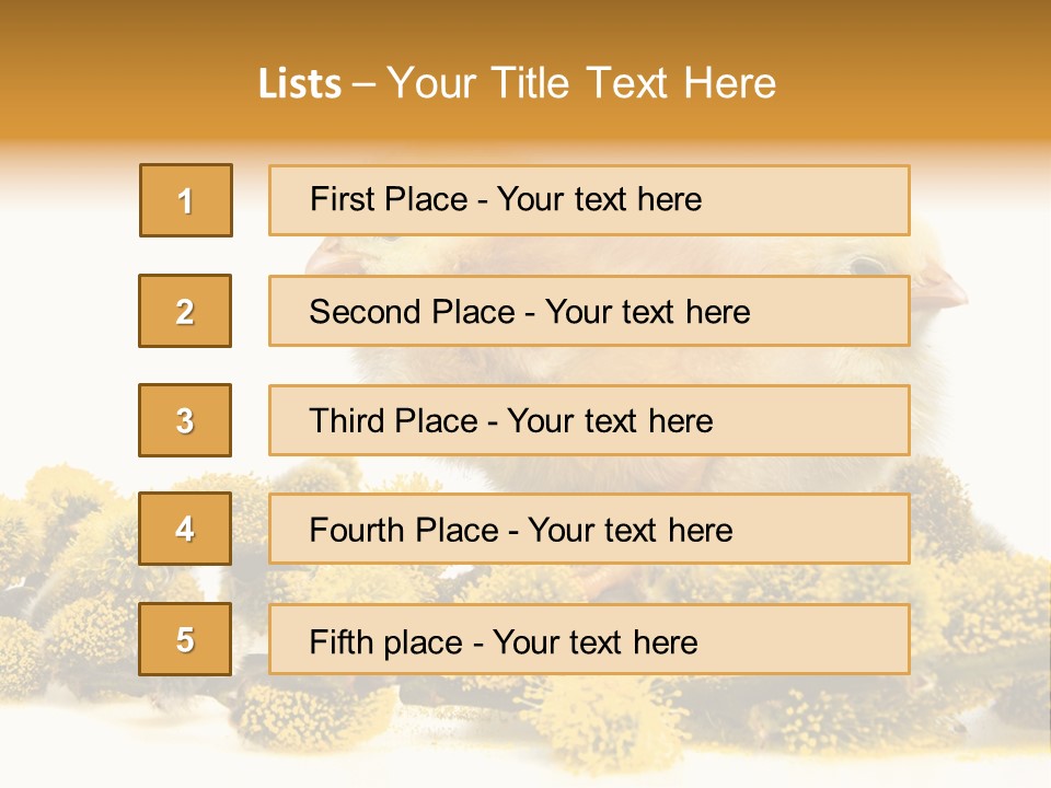 Background Chicken Orange PowerPoint Template