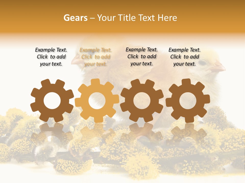 Background Chicken Orange PowerPoint Template