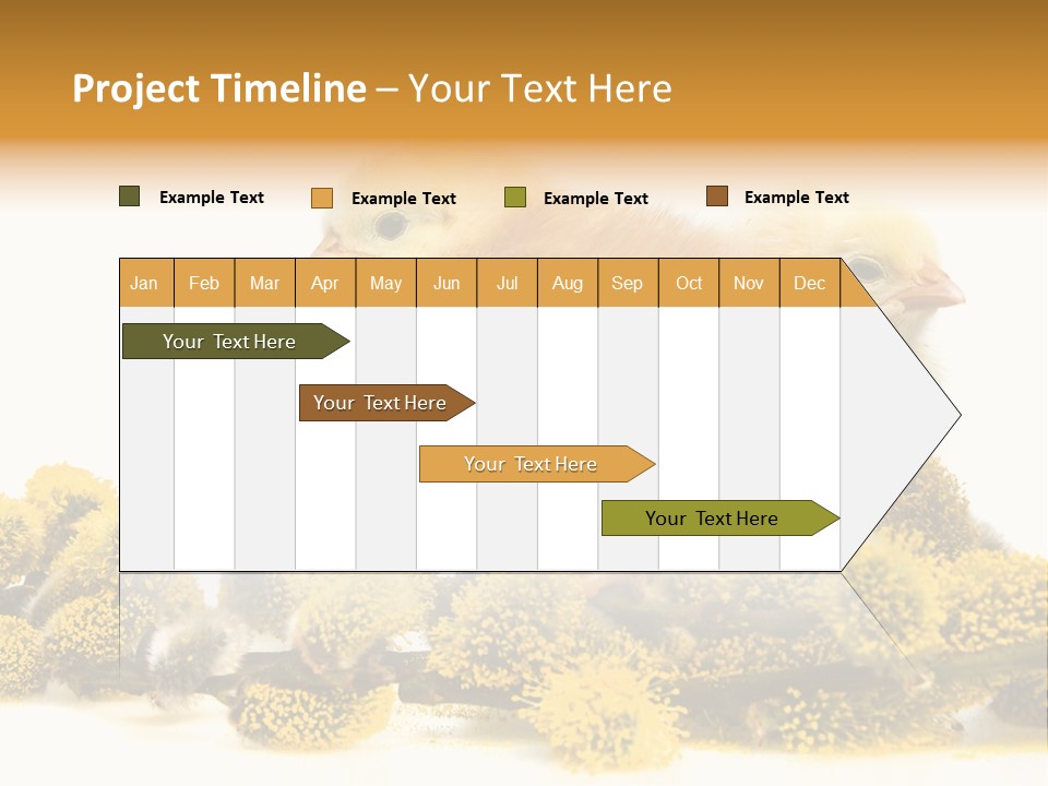 Background Chicken Orange PowerPoint Template