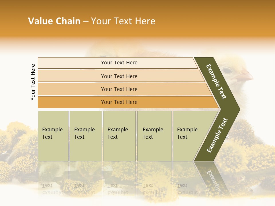 Background Chicken Orange PowerPoint Template