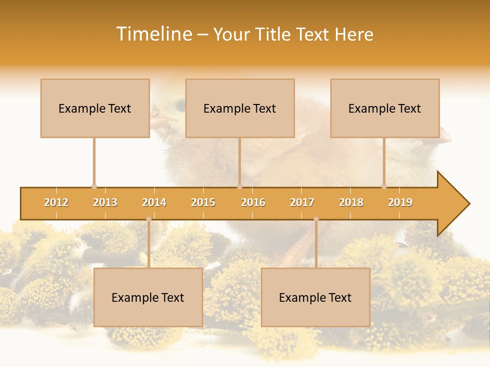 Background Chicken Orange PowerPoint Template