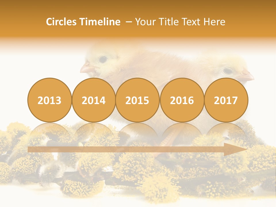 Background Chicken Orange PowerPoint Template