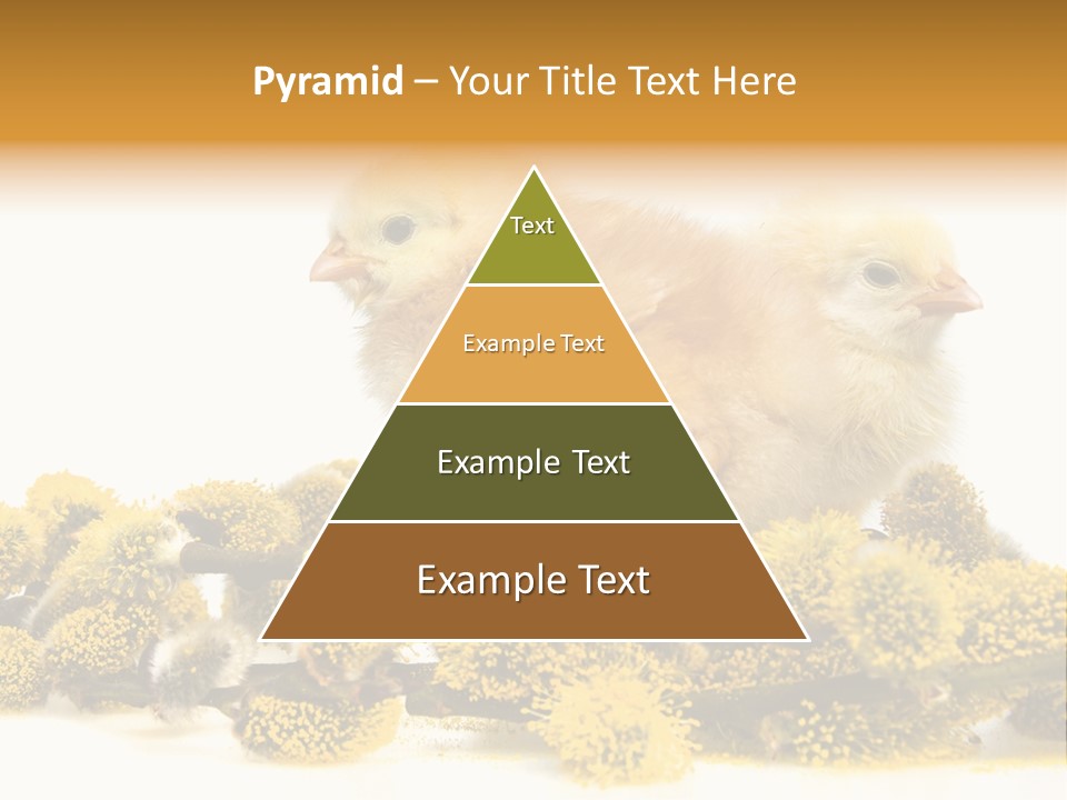 Background Chicken Orange PowerPoint Template