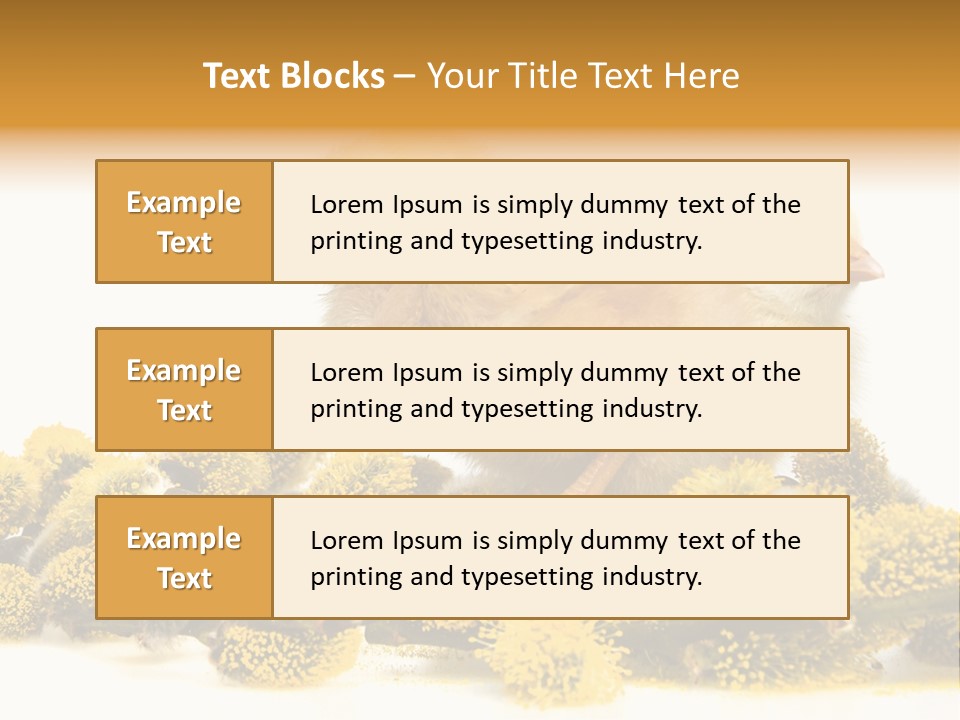 Background Chicken Orange PowerPoint Template