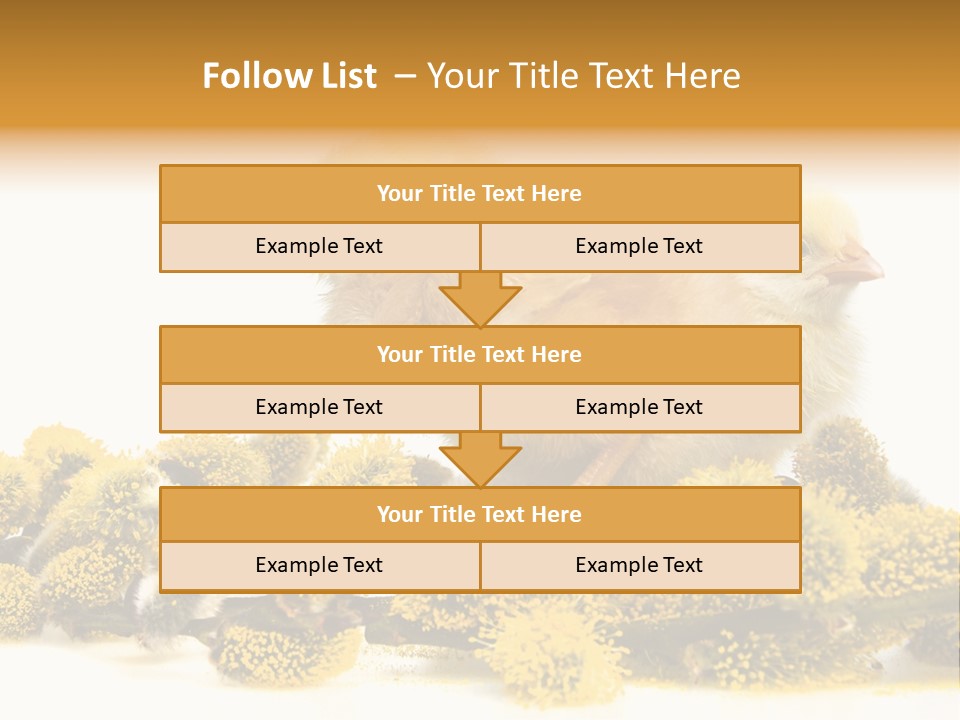 Background Chicken Orange PowerPoint Template