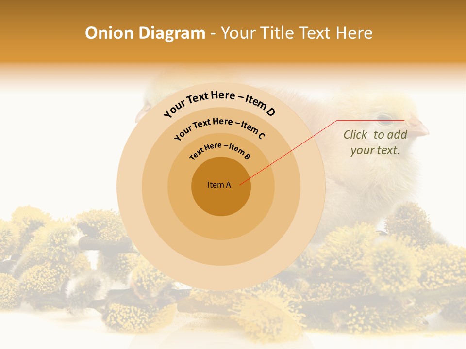 Background Chicken Orange PowerPoint Template