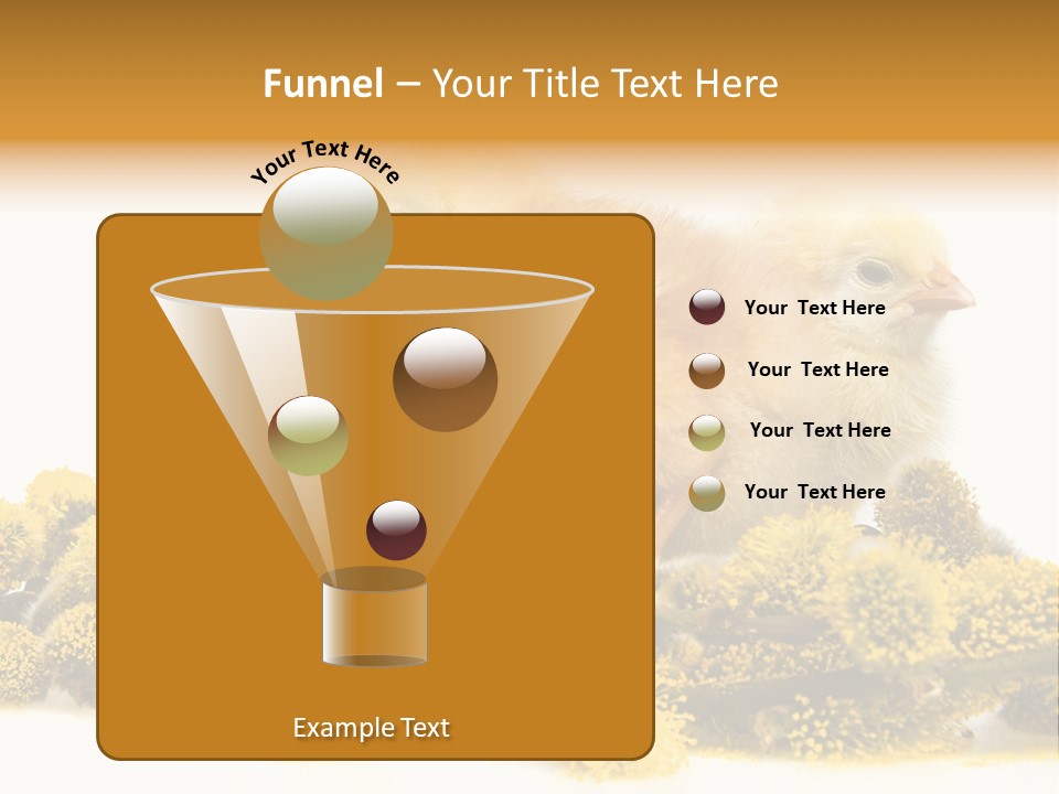 Background Chicken Orange PowerPoint Template