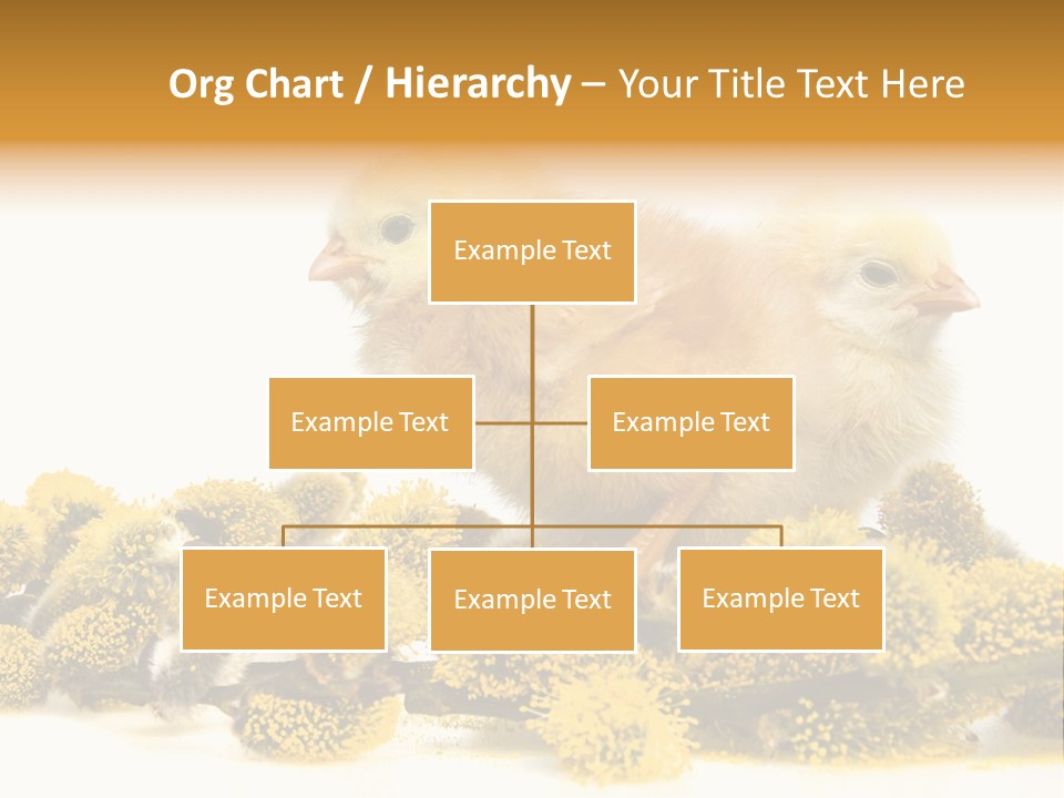 Background Chicken Orange PowerPoint Template