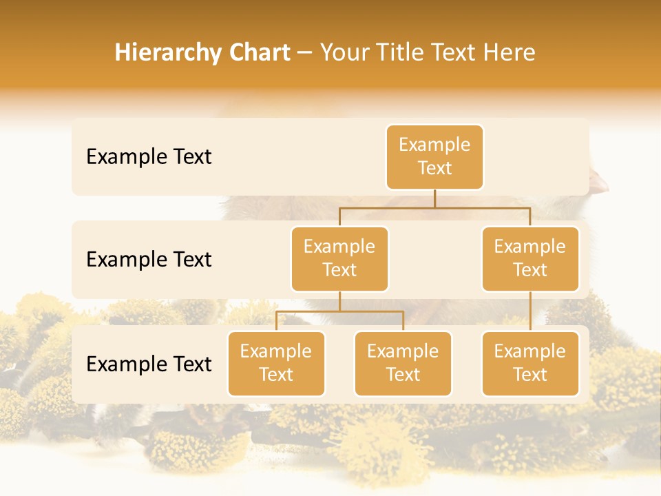 Background Chicken Orange PowerPoint Template