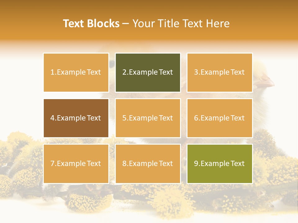 Background Chicken Orange PowerPoint Template