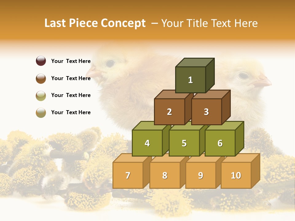 Background Chicken Orange PowerPoint Template