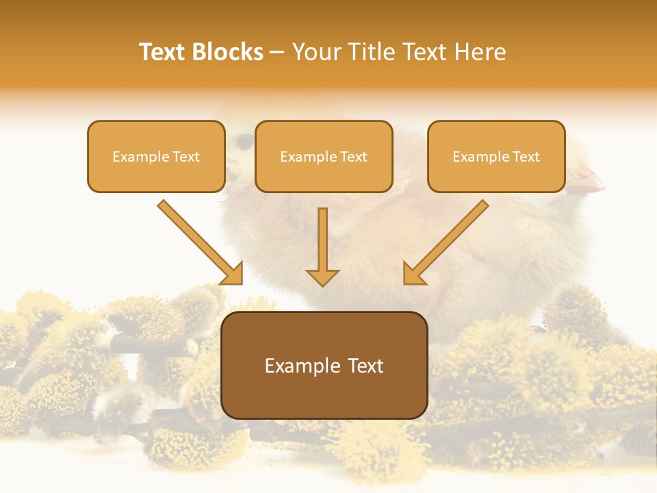 Background Chicken Orange PowerPoint Template
