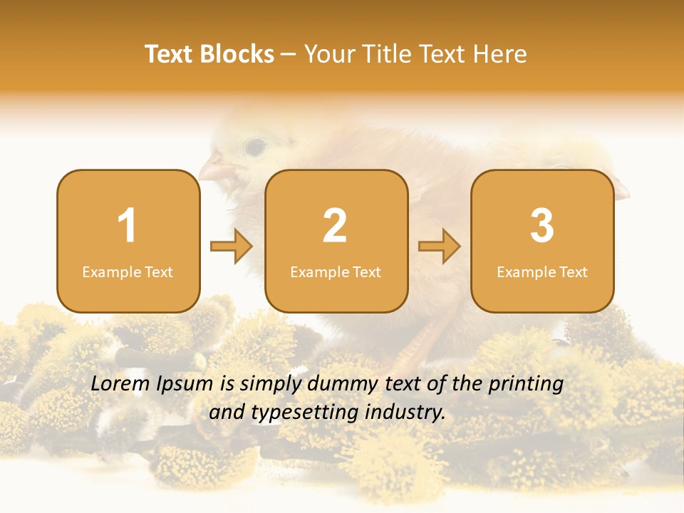 Background Chicken Orange PowerPoint Template