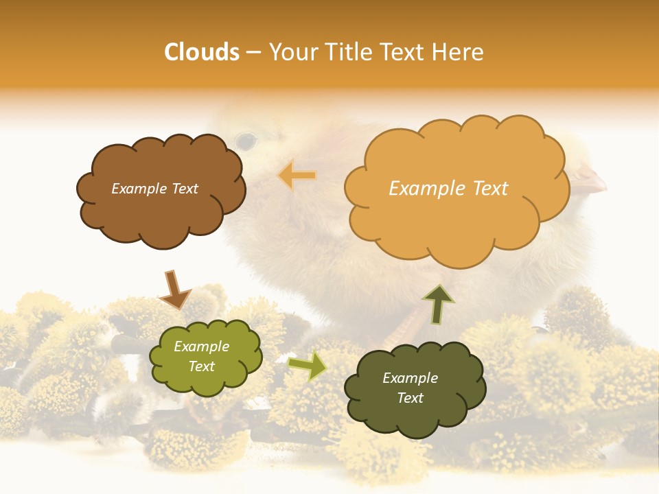 Background Chicken Orange PowerPoint Template