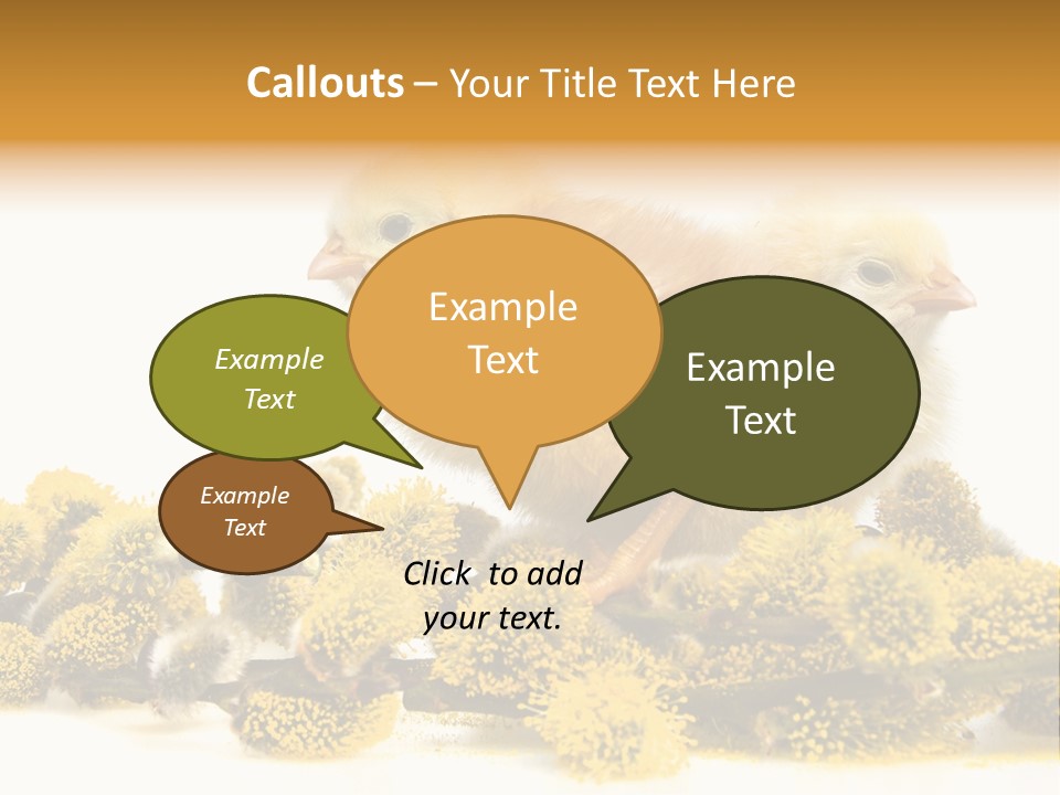 Background Chicken Orange PowerPoint Template