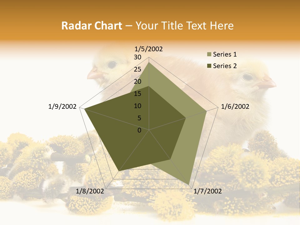 Background Chicken Orange PowerPoint Template