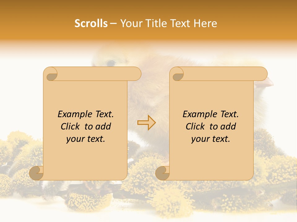 Background Chicken Orange PowerPoint Template