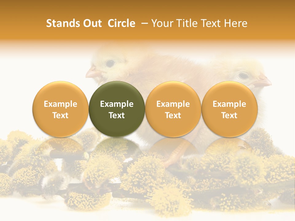 Background Chicken Orange PowerPoint Template