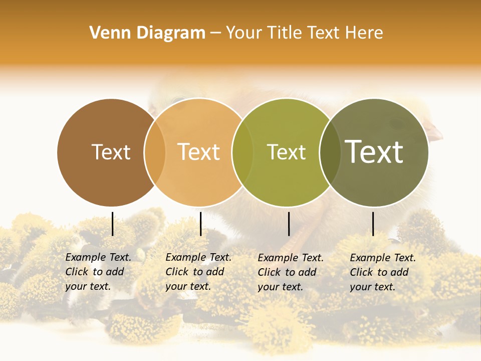 Background Chicken Orange PowerPoint Template